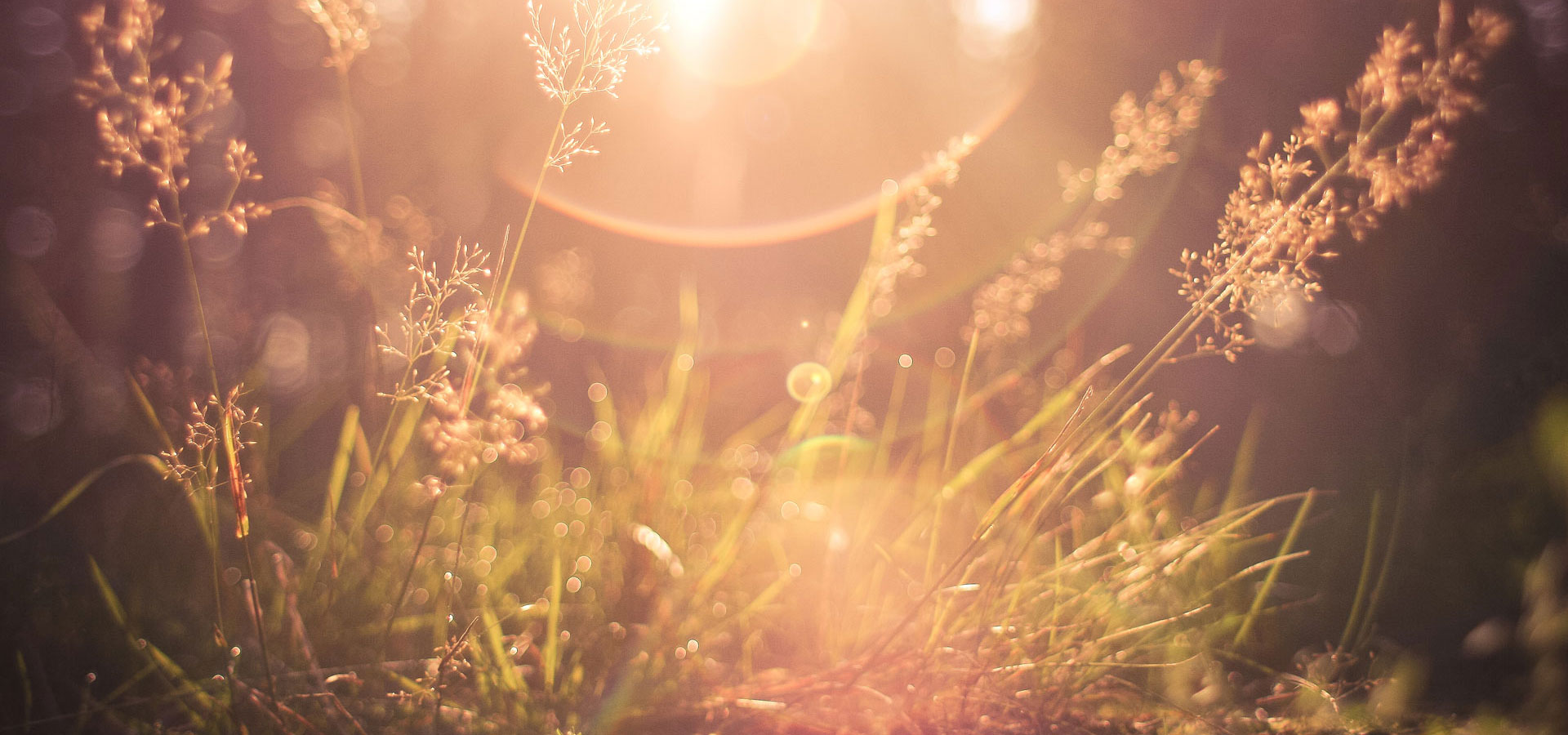 Full width image
